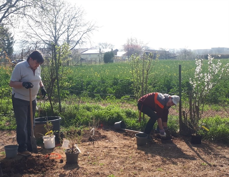 Zweite Aktion im Obdach-Garten