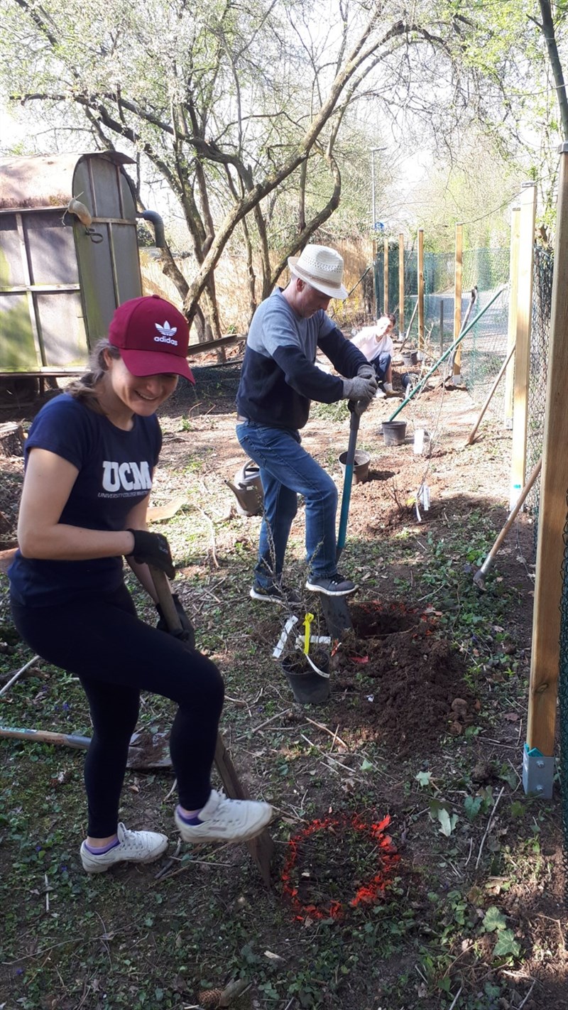 Zweite Aktion im Obdach-Garten